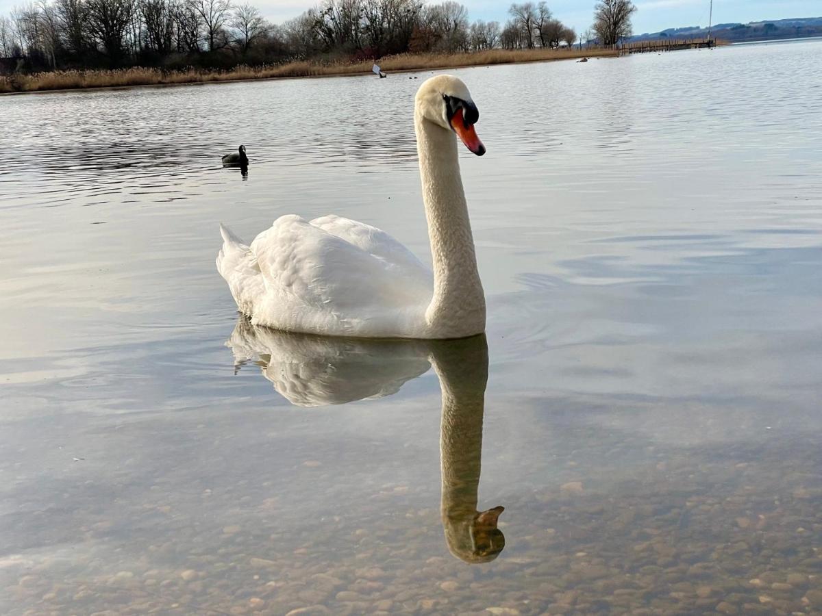 Ferienwohnung Am Chiemsee 우베르시 외부 사진